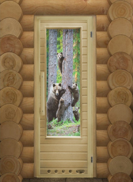 Дверь DoorWood Элит Мишки с фотопечатью 73х185