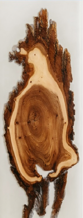 Дверь для сауны DoorWood с фотопечатью CЛЭБ-15, 70х190, коробка ольха